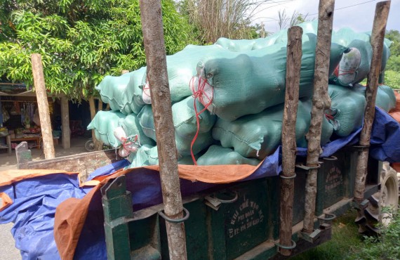 Vận chuyển bí xanh thơm