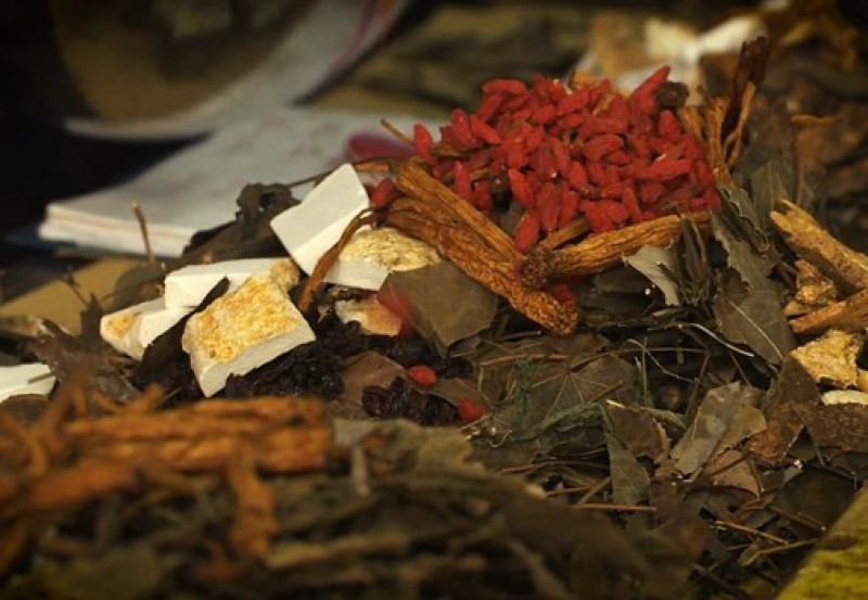 Kho báu thuốc nam của người Dao Ba Vì