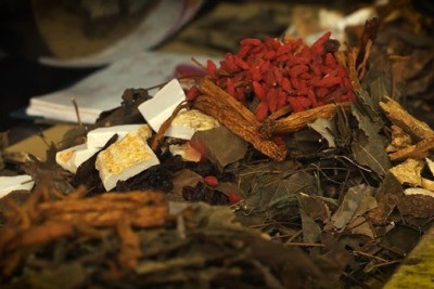 Kho báu thuốc nam của người Dao Ba Vì