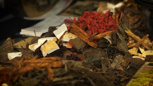 Dược liệu người dao